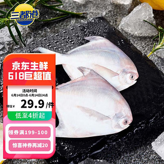 三都港 冷冻东海银鲳鱼550g 平鱼 深海鱼 生鲜 鱼类 海鲜水产 烧烤食材