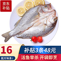 SuXian 速鲜 海鲈鱼 1条 350-400g