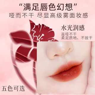 HINSOCHA/韩水仙水光润感口红亮光显色不黏腻易涂抹遮掩唇纹