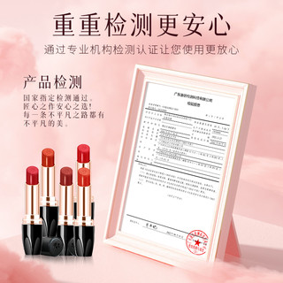HINSOCHA/韩水仙水光润感口红亮光显色不黏腻易涂抹遮掩唇纹