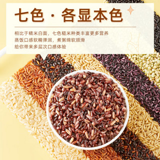 十月稻田 七色糙米杂粮米五谷杂粮低脂粗粮糙米饭黑米红米糯米 5斤