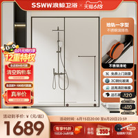 浪鲸 SSWW极窄边枪灰淋浴房一字屏风定制浴室家用干湿分离地轨