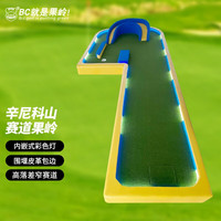 B.C.GOLF高尔夫推杆练习器 灯带炫彩高尔夫果岭高尔夫练习场室内外果岭 灯带果岭 2*5灯带款快速草