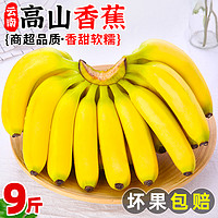 甘福园 高山甜香蕉新鲜10斤水果当季现摘芭蕉小米蕉大香焦批发整箱自然熟