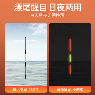 客友钓具客友擒龙B1电子漂日夜两用夜光漂变色鱼漂高灵敏咬钩变色醒目鱼漂 B1-08双尾吃铅5g青草鲢鳙