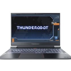 ThundeRobot 雷神 911X猎荒者 15.6英寸笔记本（i5-13500H、16GB、512GB、RTX4050）