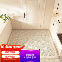 布迪思 BUDISI现代简约入户地垫进门脚垫家用门口入门玄关门垫地垫 简约线条B款 80*100cm