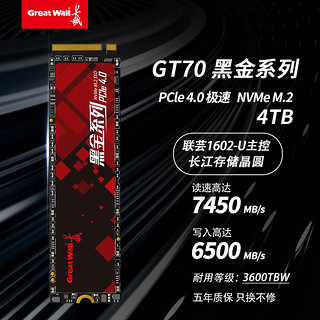 Great Wall 长城 黑金系列 GT70 NVMe M.2 固态硬盘 4TB（PCI-E4.0）