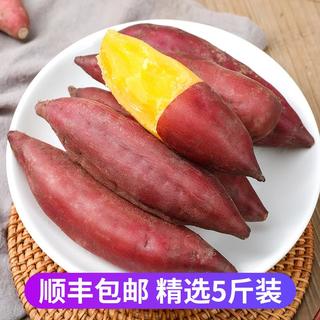 薯小萌天目山小香薯中果5斤新鲜红薯顺丰包邮