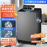 小天鹅 8公斤洗衣机全自动家用大容量宿舍单脱水甩干