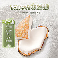 Nanguo 南国 海南特产纯椰子粉160gx4袋椰奶椰汁粉速溶冲饮早餐小袋装