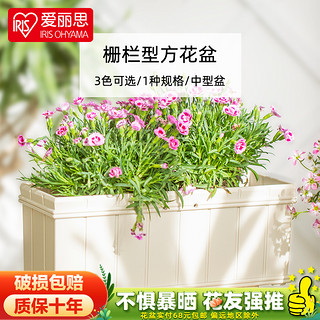 IRIS 爱丽思 长条种植花盆 创意树脂花盆 塑料阳台种菜盆长方形花盆