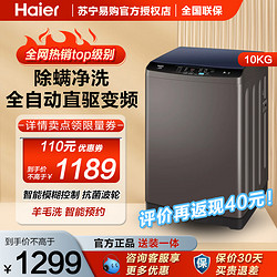 Haier 海尔 10公斤变频波轮洗衣机直驱变频  除螨洗租房神器EB100B20Mate1
