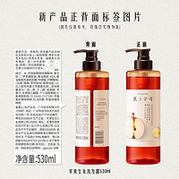 Hair Recipe 发之食谱 苹果生姜洗发水 530ml