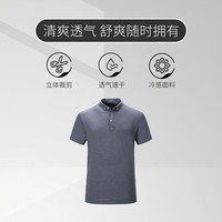 P&TGOLF新款高尔夫短袖T恤男高弹速干polo golf球衣 灰色 XL
