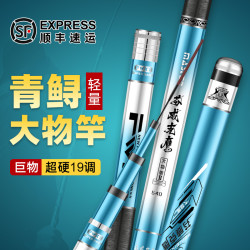 芬威克鹰 日本进口碳素青鲟巨物大物竿鱼竿手杆超轻超硬十大台钓竿12H19调