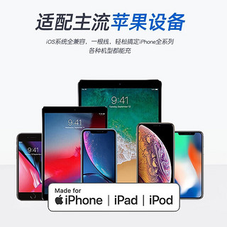 POLT 苹果数据线适用于iPhone14Pro MAX/13/12/XS/XR/11/S加长充电线 2米1条