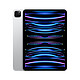 Apple 苹果 iPad Pro 11英寸平板电脑 2022年款(256G 5G版/M2芯片/MNYR3CH/A) 银色
