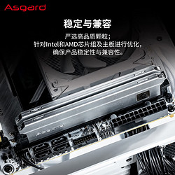 Asgard 阿斯加特 弗雷系列-钛银甲 DDR4 3200 台式机内存条 64GB套条