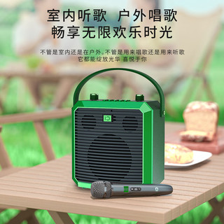 十度（ShiDu）M3高品质HIFI音响发烧入门级无线蓝牙音响手提便携家庭ktv唱歌套装户外聚会K歌直播高保真迷你音箱 M3 十度绿