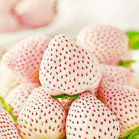 乡语小吖 山东白草莓3斤/6盒 新鲜水果淡雪草莓白雪公主奶油白草莓生鲜