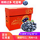 Mr.Seafood 京鲜生 国产蓝莓14mm+ 原箱 125g*12盒装