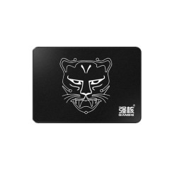 qianghe 强核 武器大师 固态硬盘 1TB SATA3