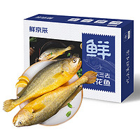 海名威 鲜京采 冷冻三去黄花鱼（宁德大黄鱼）净重1.7kg (5条装)