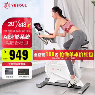 YESOUL 野小兽 零重力 YESOUL 野小兽 M1P 动感单车 家用健身车磁控单车室内健身器材