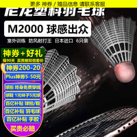 YONEX尤尼克斯塑料羽毛球M250M2000尼龙羽毛球耐打防风6只装yy训练球 M2000 白色 接近真实羽毛球手感