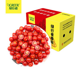 GREER 绿行者 4盒装 红樱桃番茄1.5kg