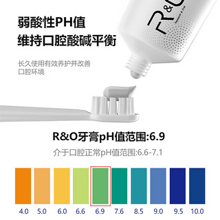 R&O牙膏原装进口RO牙膏清新口气清洁口腔舒缓护龈亮白冷热酸甜 生姜薄荷牙膏*3支