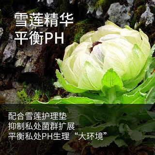 花朵雪莲贴护垫纯棉抑菌私处护理贴棉柔草本女薄款卫生小护垫透气古方 30盒60贴（巩固装）