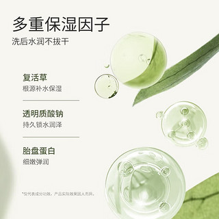 Bb LABORATORIES 复活草洗面奶氨基酸温和清洁 130g