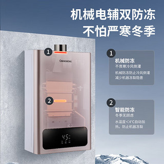 长虹（CHANGHONG）16升燃气热水器智能预约ECO节能多分段燃烧低水压启动恒温天然气热水器16H2S