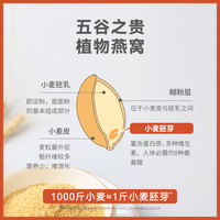 shiwo 拾沃食研室 小麦胚芽官方旗舰店高蛋白早餐麦片即食冲泡营养代餐