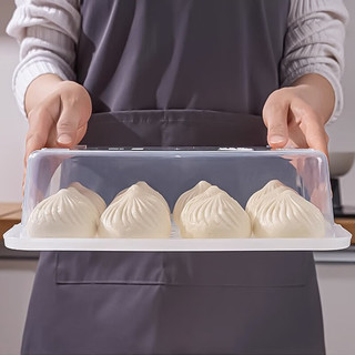 家の物语（KATEI STORY）日本冰箱包子收纳盒装馒头饺子冷冻专用保鲜盒食品级面包速冻盒子 长方形2.6L(两个装)