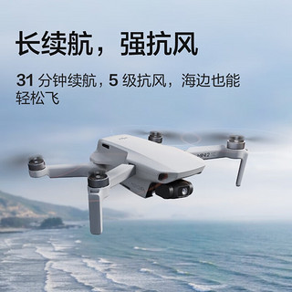 大疆（DJI）Mini 2 SE入门迷你航拍机 高清影像便携轻巧可折叠无人机 标准版+128G内存卡+单肩包+停机坪 随心换 1年版