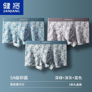 健将内裤莫代尔冰丝男士平角内裤男夏季薄款透气男生平角短裤男款裤头 莫代尔5A级抑菌 L(165/85)建议100-120斤