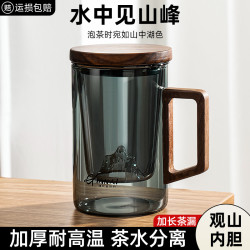 GIANXI 捷安玺 茶杯茶水分离高档个人专用喝泡茶杯子男女士办公室玻璃具观山水杯