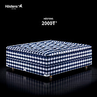Hastens 海丝腾2000T欧式床现代简约床主卧高端大气
