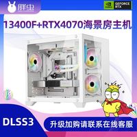 LMIX 无 胖虫 DIY主机(i5-13400F、16GB、512GB、RTX 4070)