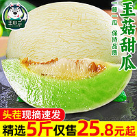 王小二正宗玉菇甜瓜9斤新鲜水果整箱当季冰淇淋口感 5斤 头茬现摘，香甜软糯！