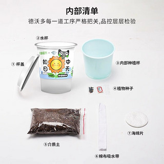 德沃多草莓儿童种植盆栽幼儿园观察植物生长学生DIY创意科学实验