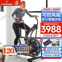 Schwinn 十字星(SCHWINN)健身车家用风阻动感单车健身器材AD6i