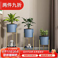 索尔诺(SuoErnuo)轻奢多层铁艺花架室内客厅绿萝花架子阳台多肉吊兰落地花盆置物架 大号双层灰蓝