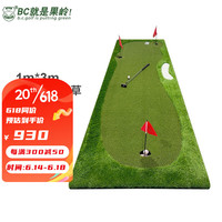 B.C.GOLF高尔夫推杆练习器 高尔夫练习室内高尔夫家用办公室高尔夫练习毯 1m*3m技术款比赛草