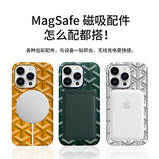 狸贝多 苹果Magsafe皮革磁吸手机壳iPhone狗牙潮牌保护壳不沾指纹全包强磁吸附商务高档男女款 狗牙皮革磁吸保护壳 iPhone 14 Pro Max