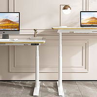 FitStand FS3电动智能升降桌 双电机单桌腿+升降台