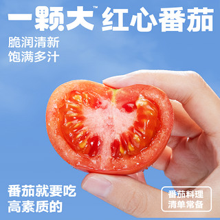 一颗大 红心沙瓤新鲜自然熟西红柿